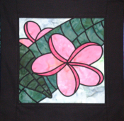 Pink Frangipani